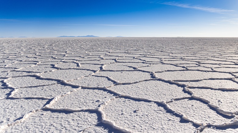 The Uyuni Salt Flat, Bolivia