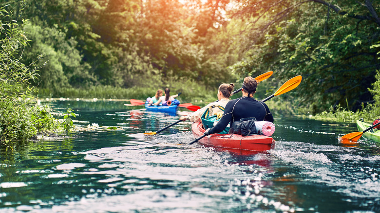 A group kayaks