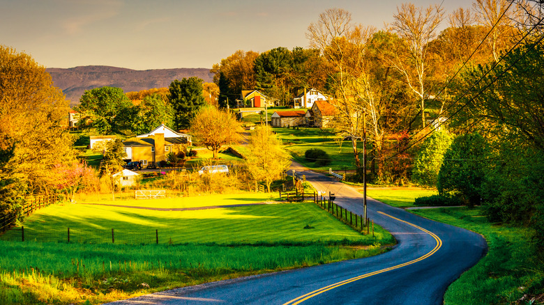 winding road in Shenandoah Valley, Virginia